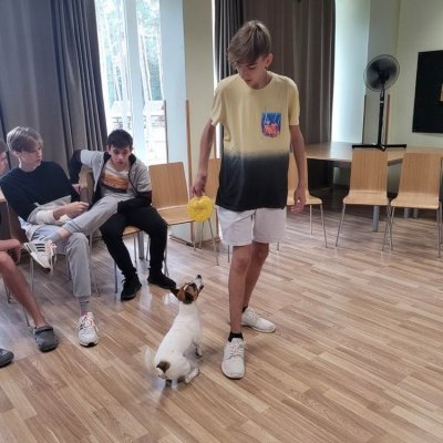 0-02-05-6c6b9ebd95e1de7ba352801c77347347fe1fff4c034043e27c571e0e5278a189_fdcab3bf4a6dcf4