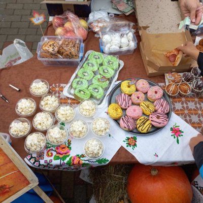 0-02-05-a79fd22226a246389352950c33d3828719ac61f9b79c4cf116b6db90179cd8c9_20319db920dd6f3b