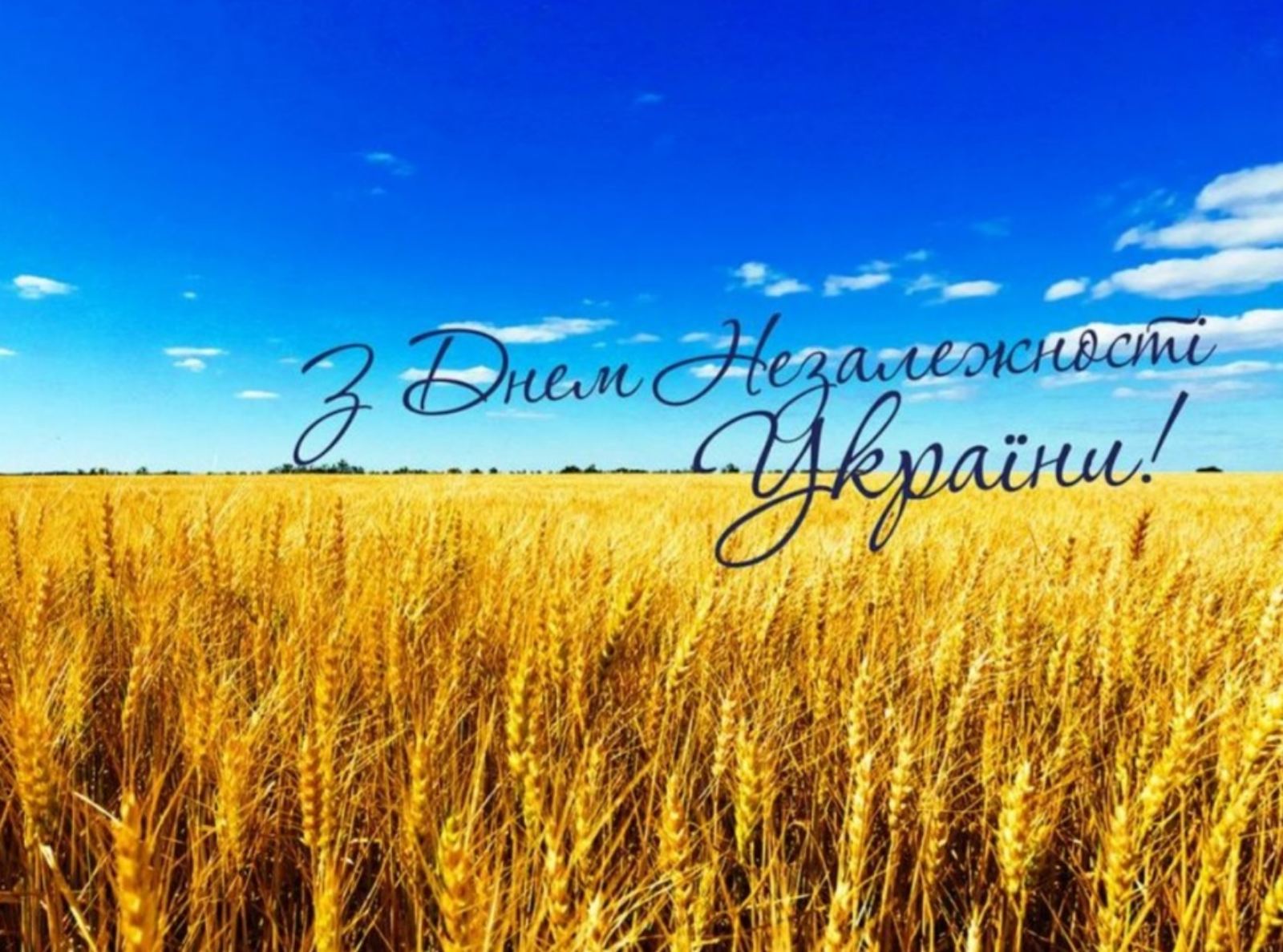 З ДНЕМ НЕЗАЛЕЖНОСТІ УКРАЇНИ!!!!